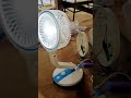 HEUTIG FAN CONTACT NUMBER 7291002932 #viralvideo #shorts