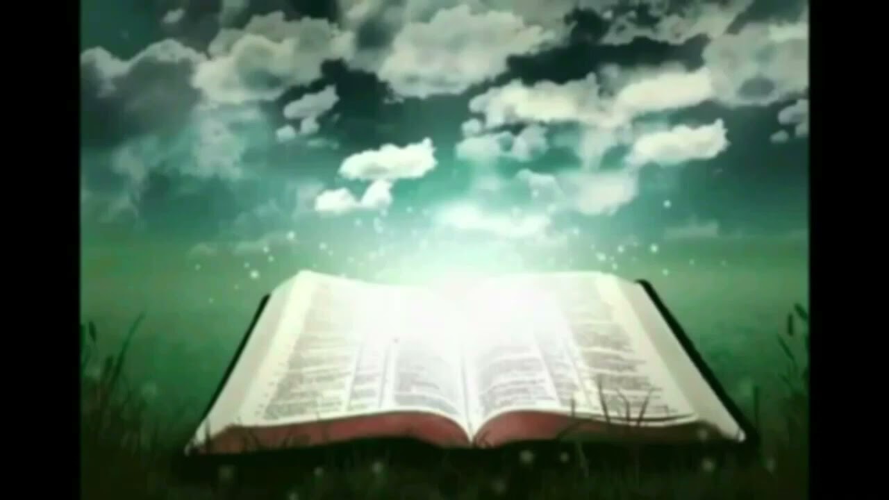 Now Edgar Halliwax Will Never Be Inside Of The Orchid