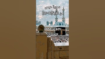 سورة عبس من الأية [31-42]بصوت محمد اللحيدان #محمد_اللحيدان #محمد_اللحيدان_حالات_واتساب_قرآن