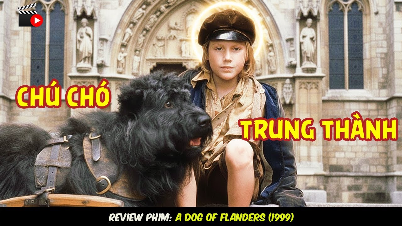 [Review Phim] A Dog of Flanders – Câu Chuyện Khiến Triệu Người Rơi Nước Mắt.