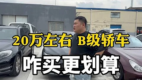 预算20万左右，主流B级家用轿车，咋买更划算？ - 天天要闻