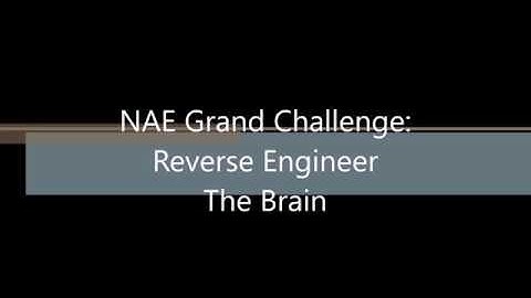NAE Grand Challenge: Reverse Engineering the Brain by Visualizing Neural Networks