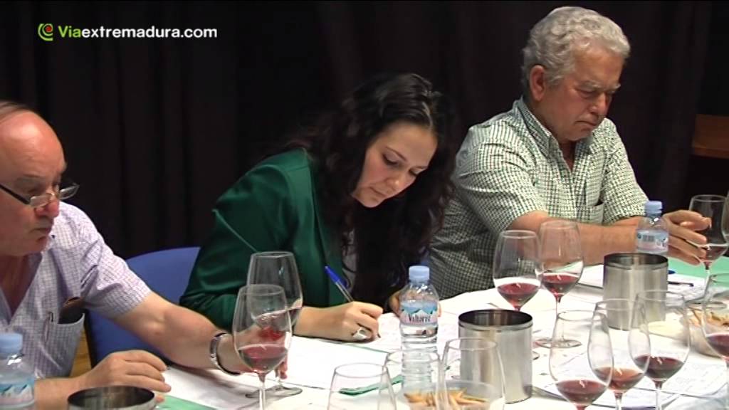 Ferias Malpartida de Plasencia 2014 - 2/5