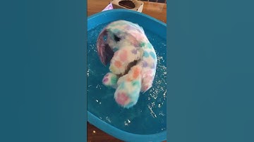 Unboxing Scruff A Luvs Mom & Baby 😚✨☝︎