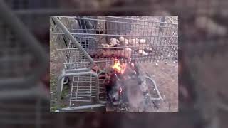 Ghetto Grill! Using Shopping Cart for BBQ - Must See!