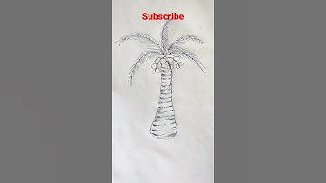 coconut tree drawing  🥥 #shorts #shortvideo #puja_art