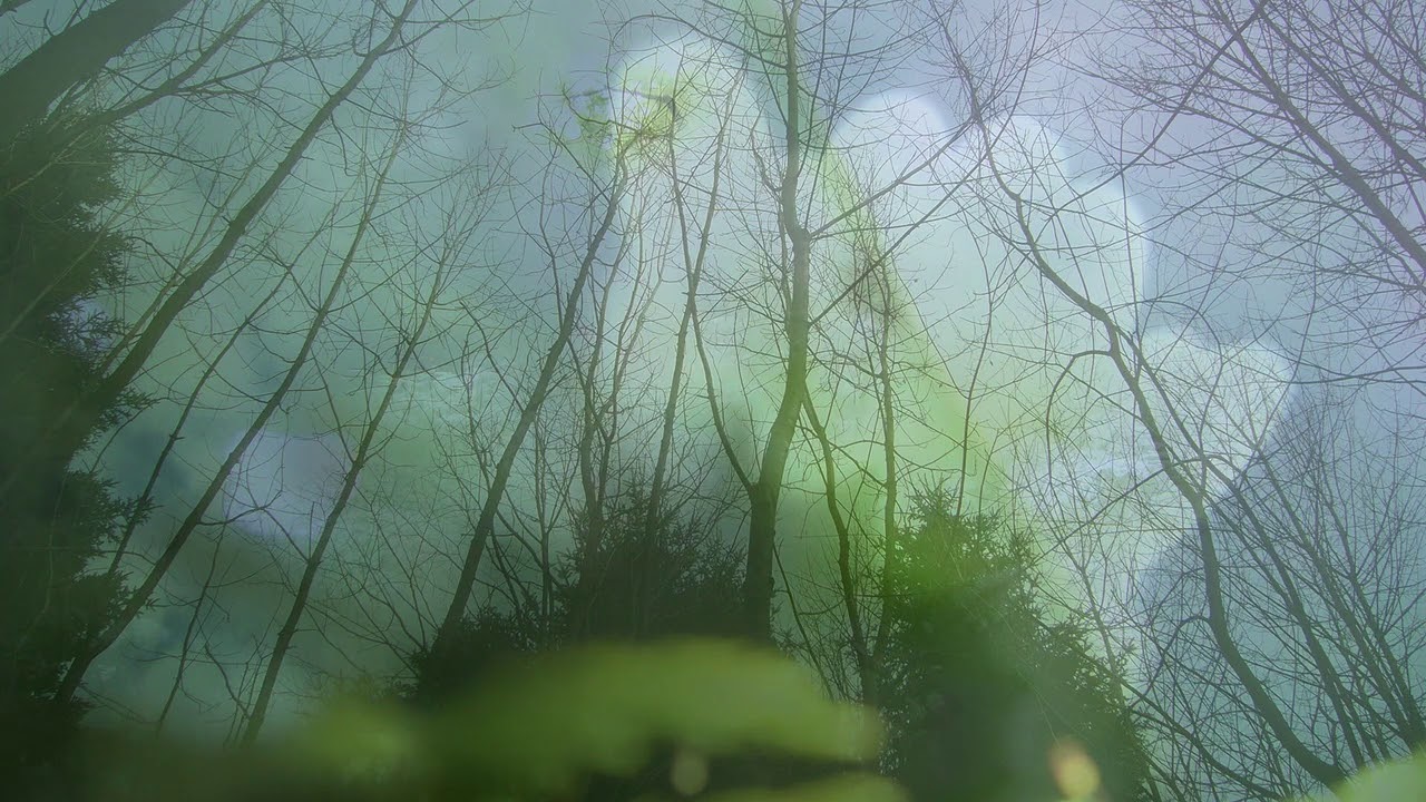 R Klewitz WZ657 Mont6