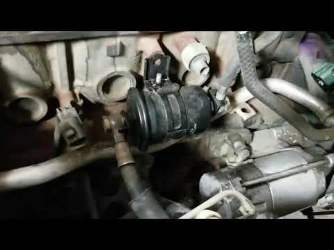 2009 Tacoma Fuel Filter Intermediate Switch Wiring Diagram Legrand For Wiring Diagram Schematics