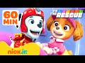 Paw Patrol | ¡Papás al rescate! 💗 60 minutos de amistad | Nick Jr. en Español