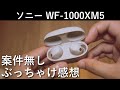 ソニー WF-1000XM5 案件無し、本音で話す
