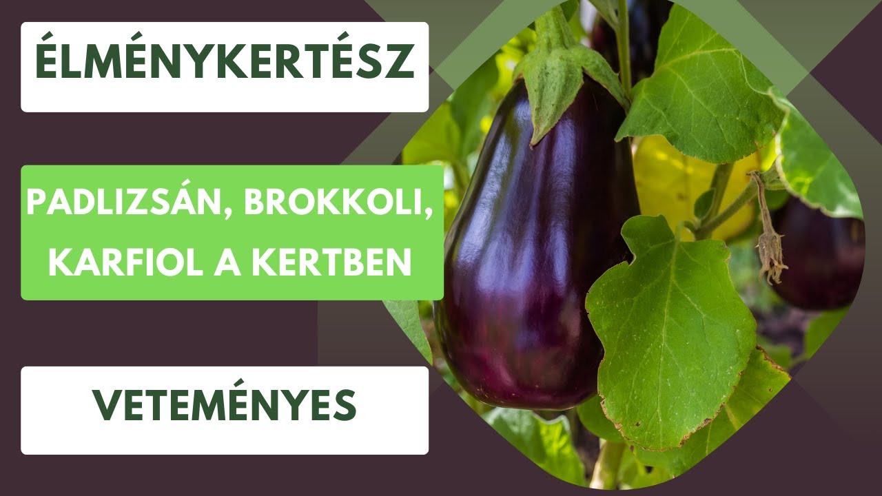 Padlizsán, brokkoli és karfiol🥦 🍆
