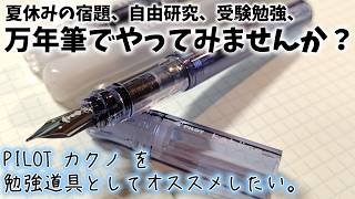 I Highly Recommend the Pilot Kakuno, a Classic Fountain Pen, as a Study Tool.