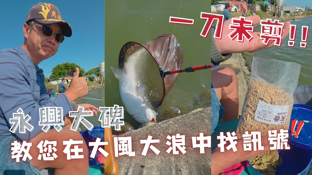 魚戰釣具-一刀未剪!!教您在大風大浪中找訊號-永興大碑