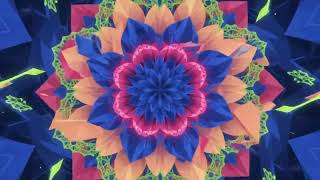 Colourful Kaleidoscope Animation With Dynamic Motion — Blue + Peach + Fuchsia + Lime With Loops
