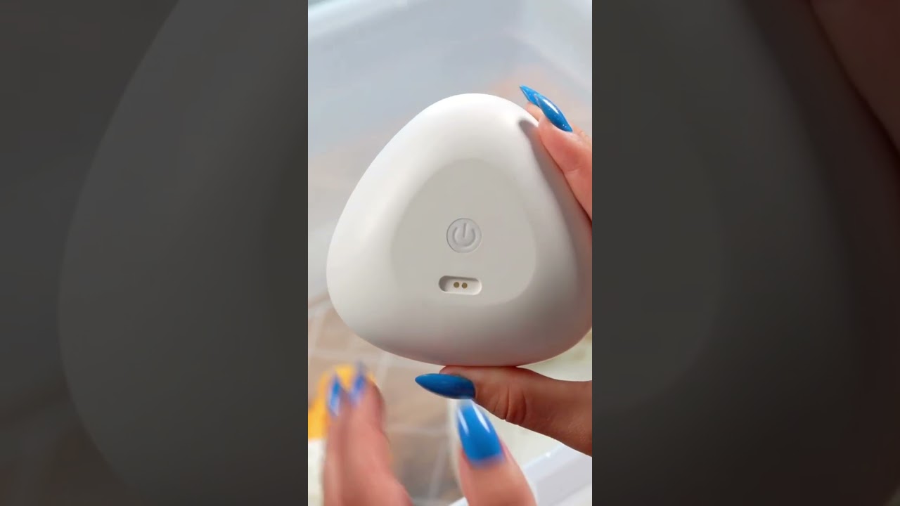 Lipaw® makes cleaning your dog’s bowls & toys effortless