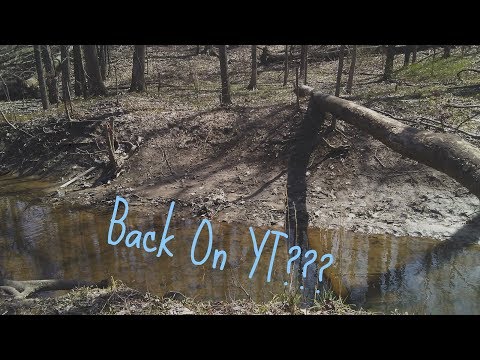 I'm Back Y'all!! I'm Back Y'all!!