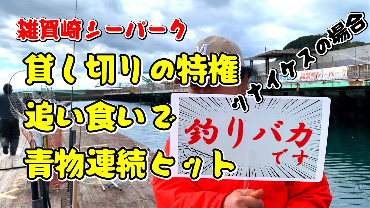 みんなで楽しく海上釣堀   青物が高活性!
