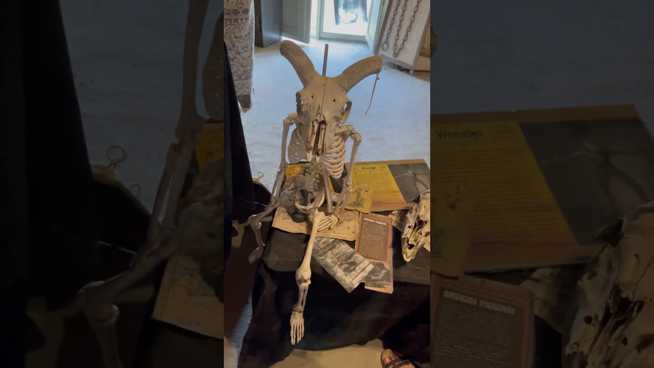 Il museo dell'impossibile