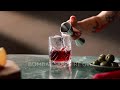 Negroni cocktail recipe by martini