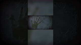 Does This Video Erase You | SCP-7555 Explained | Analog Horror 2025 #scp #analog #horrorstories