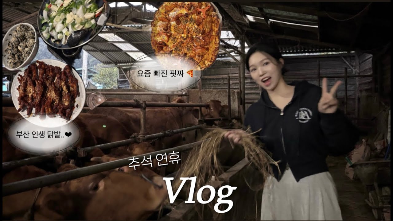 [vlog] 일상 브이로그 | 이런 추석 처음이야😮 | 부산 먹로그(뿌링클 • 닭발 • 해운대 카페) 