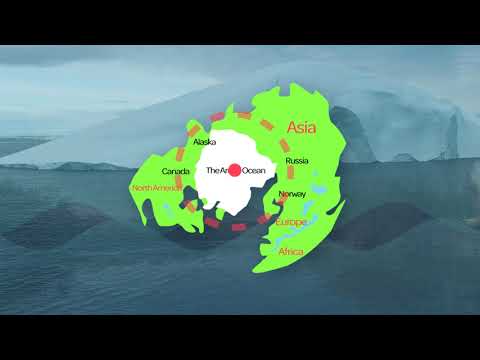 Saving The Arctic & Our Planet (Project 4: Data Visualization/Animated Infographic)