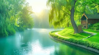 Beautiful Relaxing Music - Stop Overthinking, Stress Relief Music, Sleep Music, Calming Music #58 by Soothing Daily 626 views 9 days ago 3 hours, 29 minutes