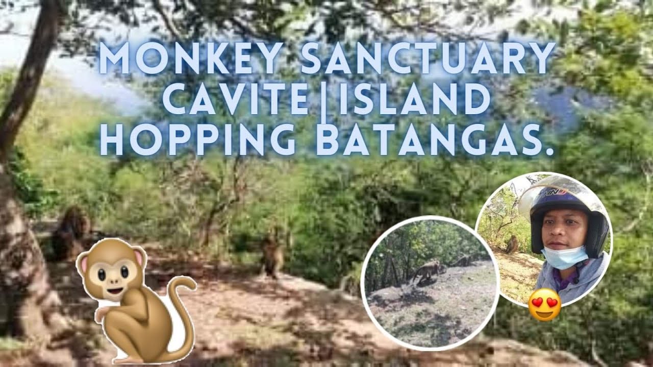 MONKEY SANCTUARY IN CAVITE ISLAND HOPPING IN BATANGAS YouTube
