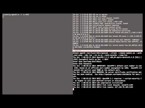 ShellShock OpenVPN Exploit