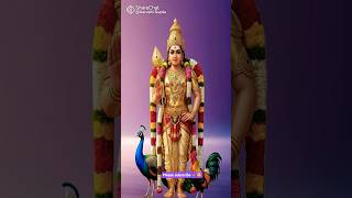 #muruga saranam 💛 #devotional #tamilnewslive