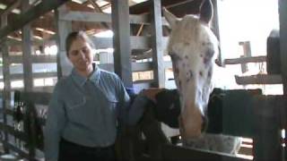170th YATES COUNTY FAIR  4-H Animals