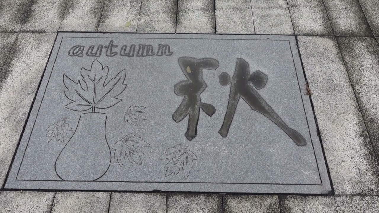 Southwest University Chongqing campus tour 2023 西南大学