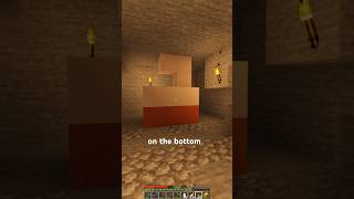 Trail Ruins Decor HIDDEN MEANING #minecraft #trailruins #survival #facts #tips #build #survival #smp