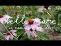 Belle Mare - We Can Wait For Love (Welcome Campers)