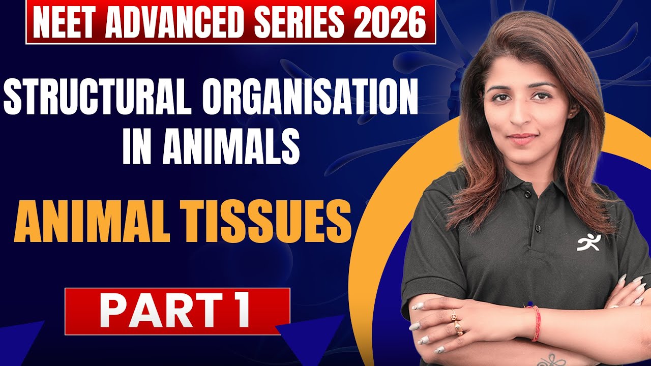 Structural organisation in Animals - Animal tissues | NEET Advanced ...