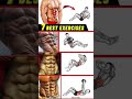 full abs home workout plan 💪#workout #shoulder #chest #sixpack #back #legs #triceps