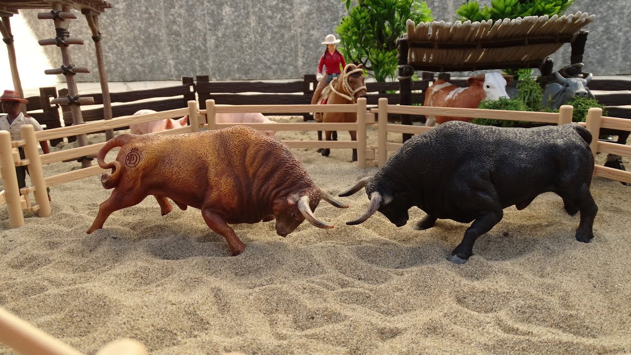 BULL FIGHT/ STOP MOTION/Bull/Touro/Toro/सांड
