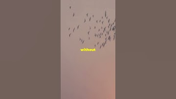 How to Make Confident Decisions Without Regret #DecisionMaking #SelfEmpowerment #PersonalDevelopment