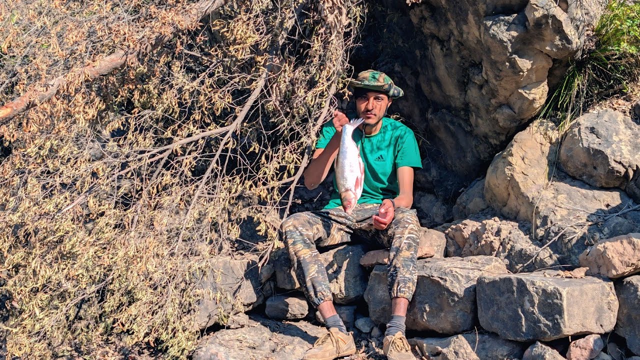 Fish hunting in a river near forest🌲
