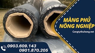 Màng phủ nông nghiệp cho cây trồng giá rẻ