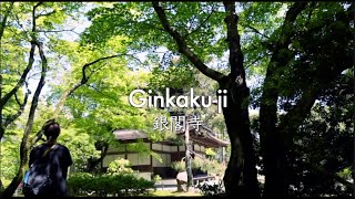 【Ginkaku-ji＊銀閣寺】The contrast is also stunning during the season of fresh greenery. Kyoto vlog
