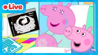 Download Lagu 🔴 LIVE: George Pig And Baby Evie Adventures 🍼 Peppa Pig \u0026 Evie Pig Full Episodes | Kids Cartoons MP3