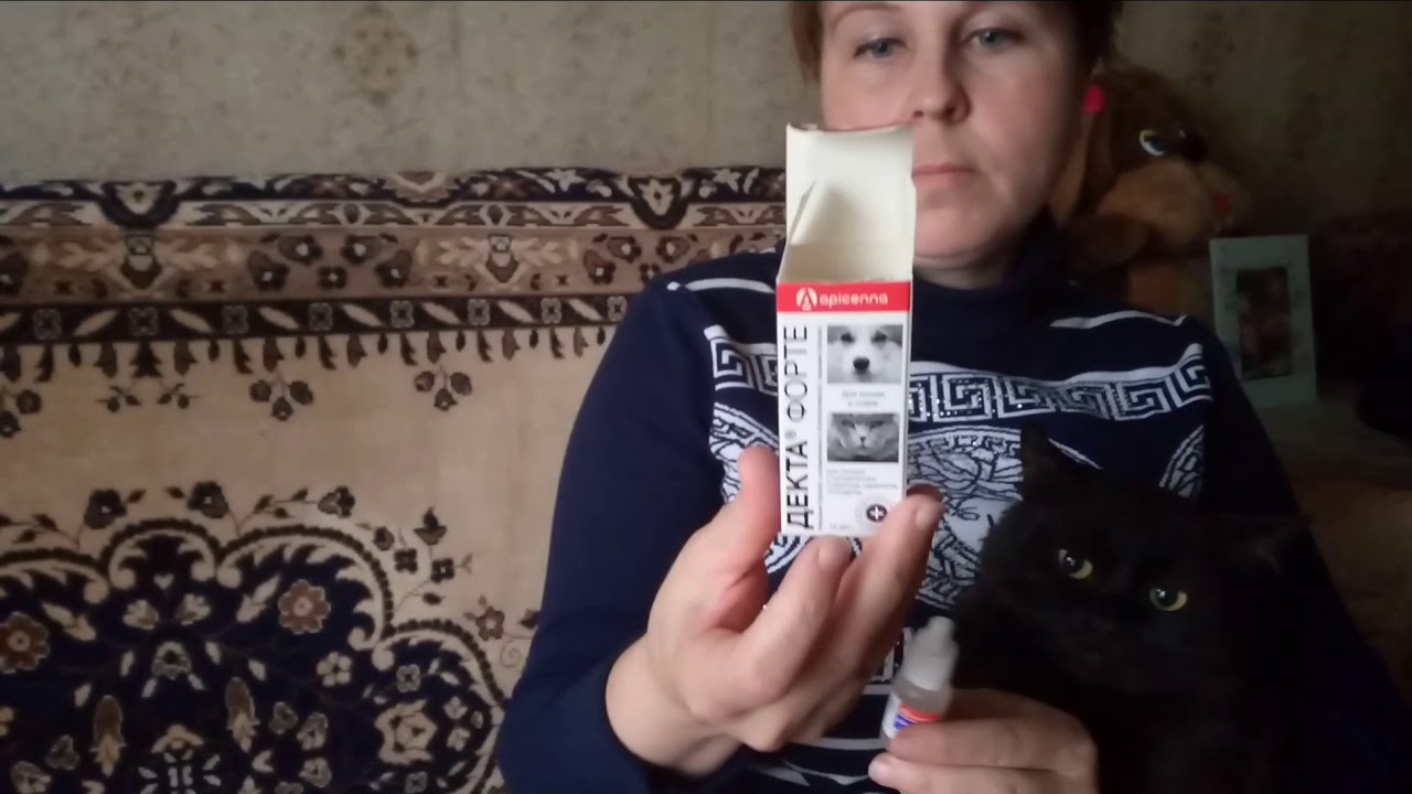 У кота обнаружили ушного клеща - YouTube