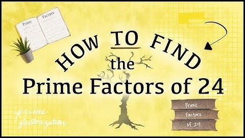 Prime Factors of 24