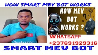 SMART MEV BOT; HOW SMART MEV BOT WORKS