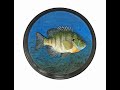 Klaus Kits: DIY Fish Replica Kits | Fun Wildlife Art for All Ages | Waters by Klaus