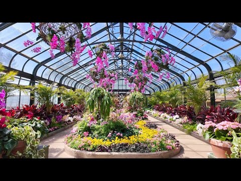 Discover Canada 🇨🇦 Niagara Falls Flower House - Floral Showhouse