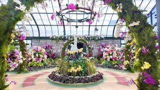 Niagara Falls The Flower House - Floral Showhouse Walking Tour | 4K Flowers by Lvfree Adventures 1,110 views 2 weeks ago 8 minutes, 30 seconds