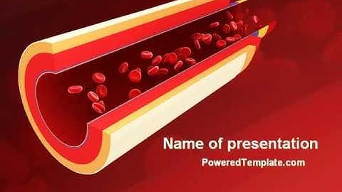 Blood Flow PowerPoint Template by PoweredTemplate.com