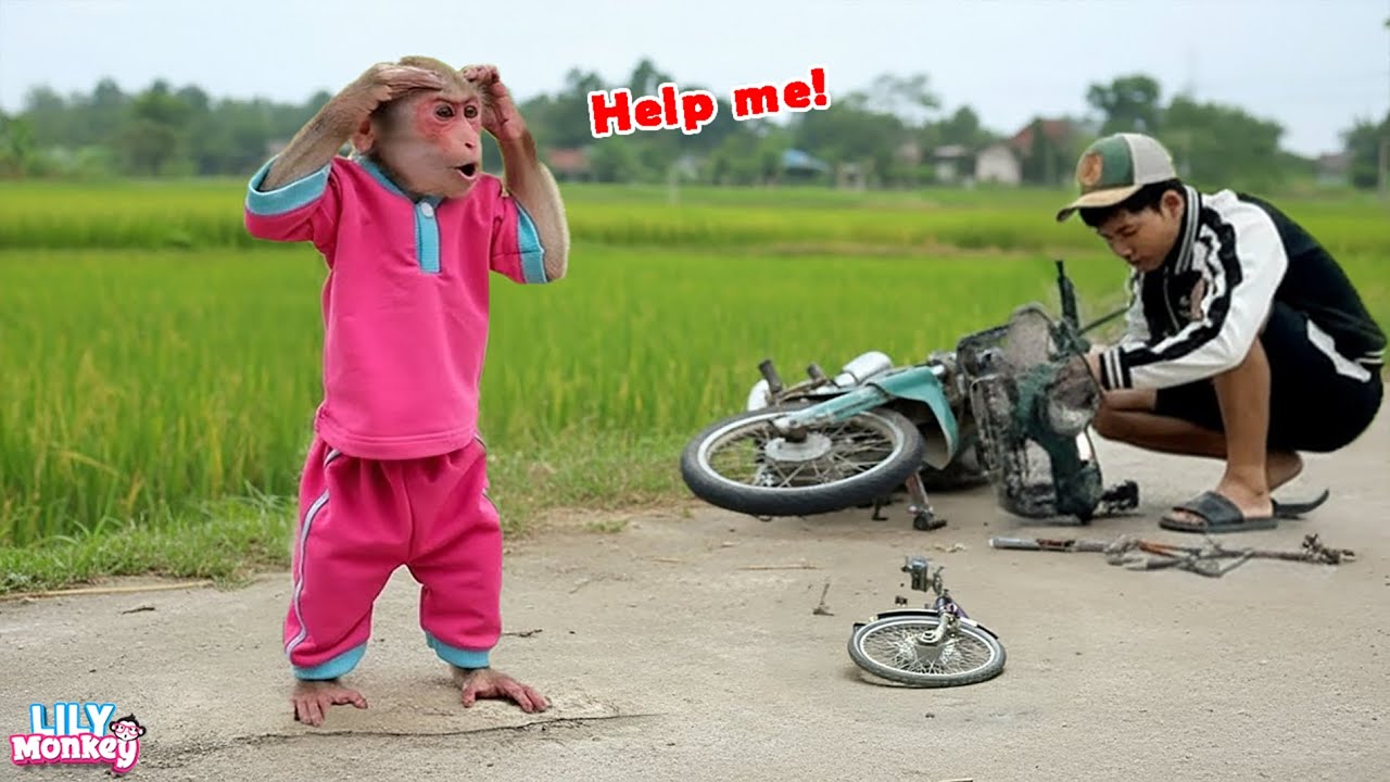 Smart Lily runs to find help… can dad motorbike be fixed?| Lily's story